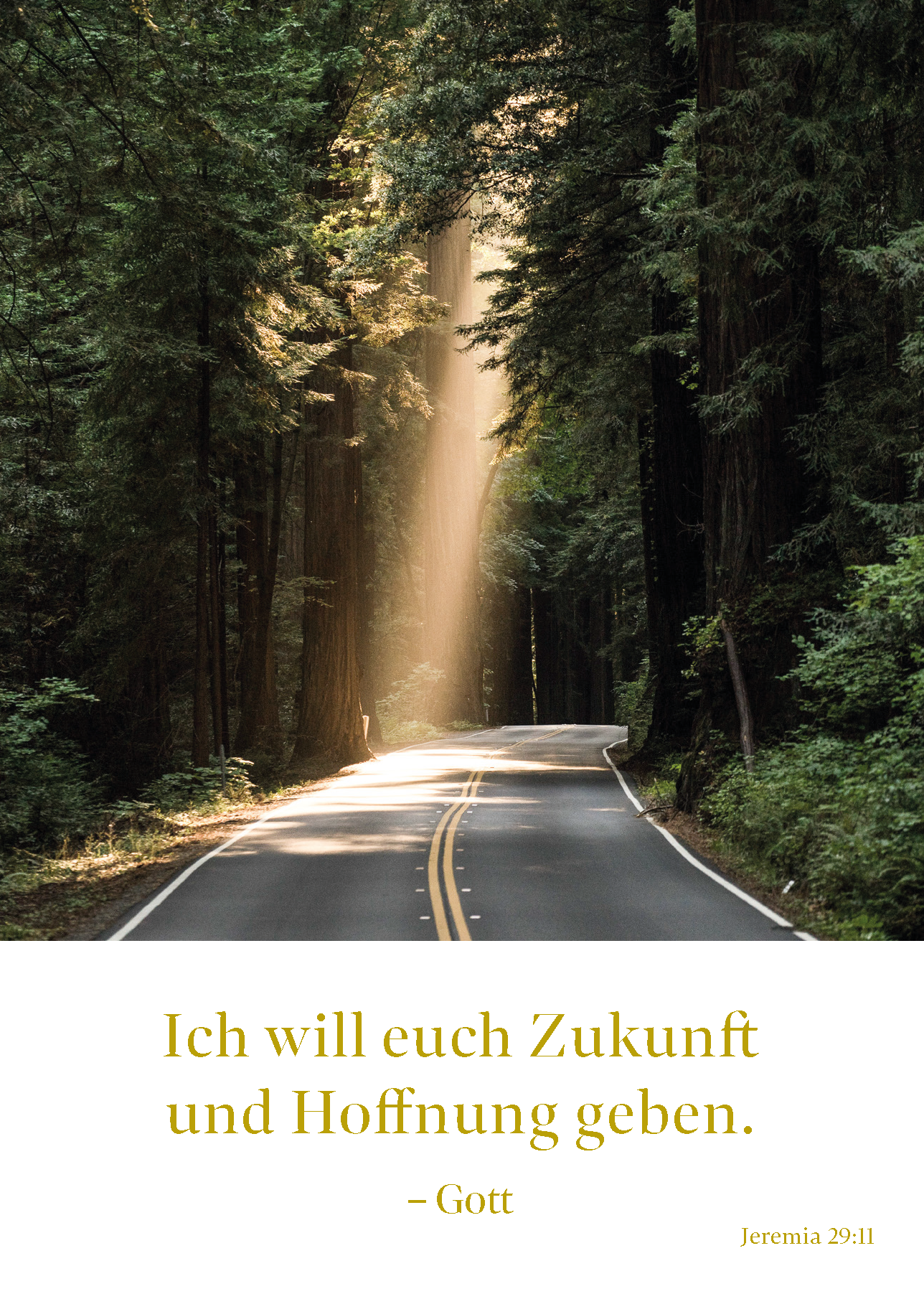 postkarte_final (verschoben) 2